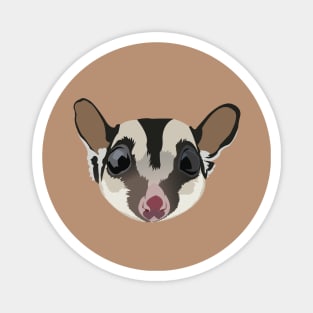 Sugar Glider Magnet